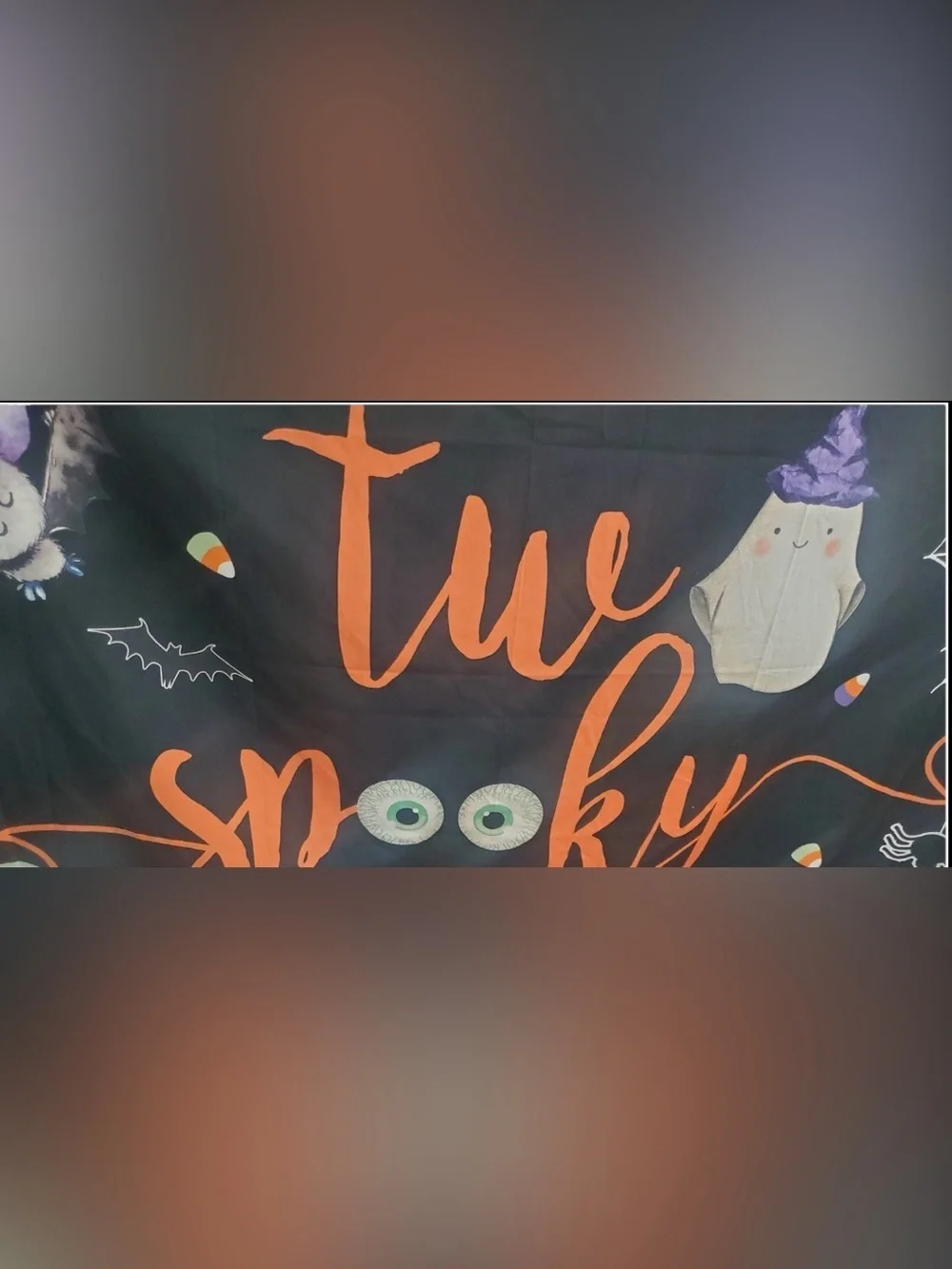 🔥🏷️Two Spooky Halloween Party Backdrop - Black and Orange